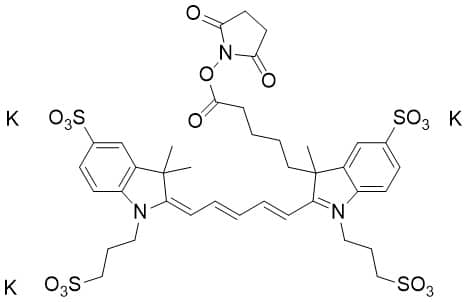 AF647 NHS Ester